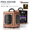 PWA-H521UB  150W 1ä SD USB BT 